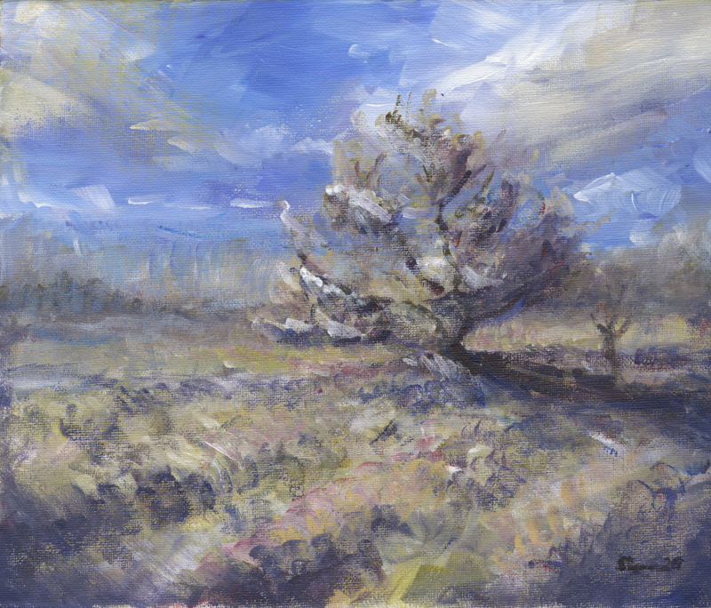 Die Ruinen der Abtei L’Abbaye de Hambye in der Normandie