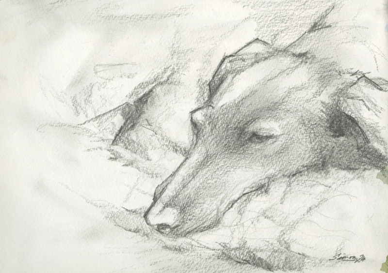 Eine schnelle Finelinerskizze mit lockerem Strich eines Hauses am Berg.